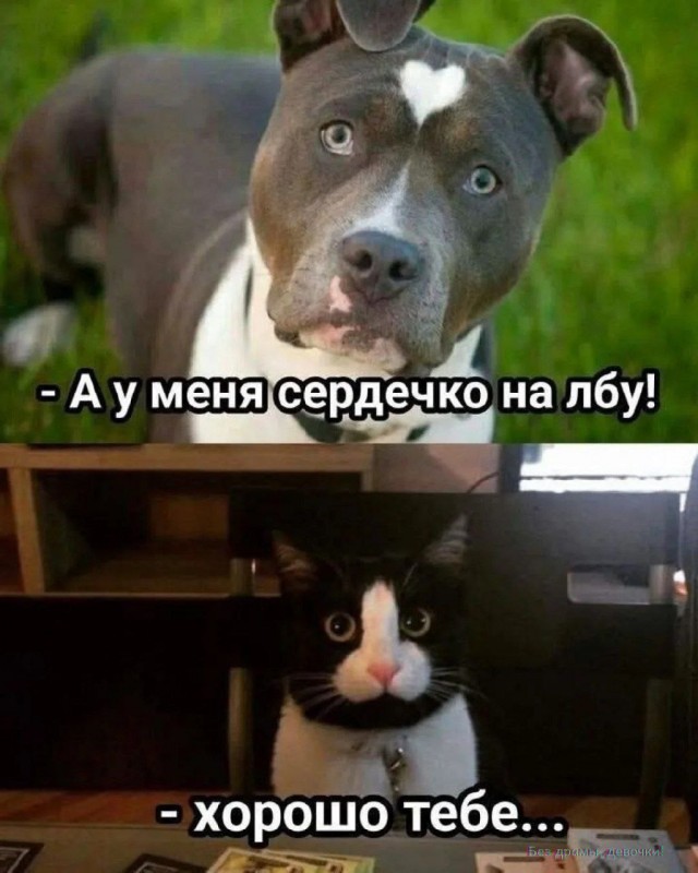 Веселые картинки в первый день июля (01.07)