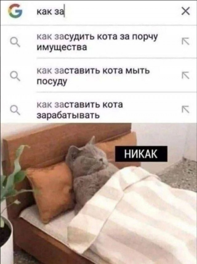 Так себе картинки 07.07.25