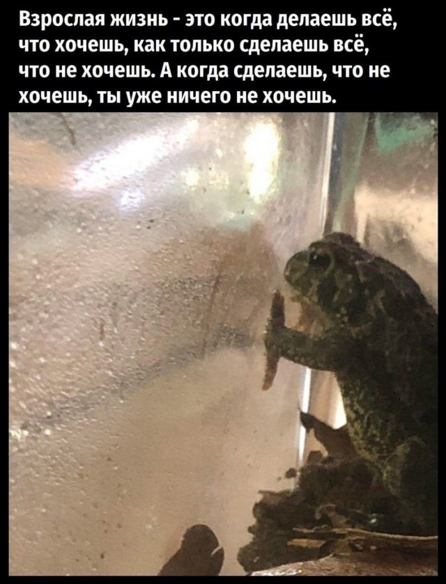 Картинки для деградации 23 (разной степени свежести)