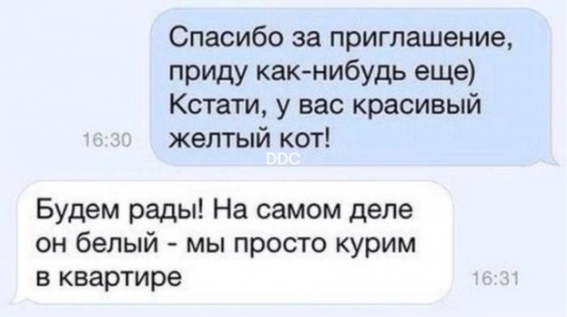 Весёлый полтишок 22.08.25