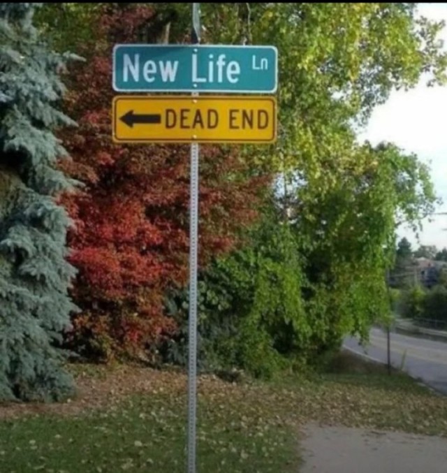 Дичь по английскому