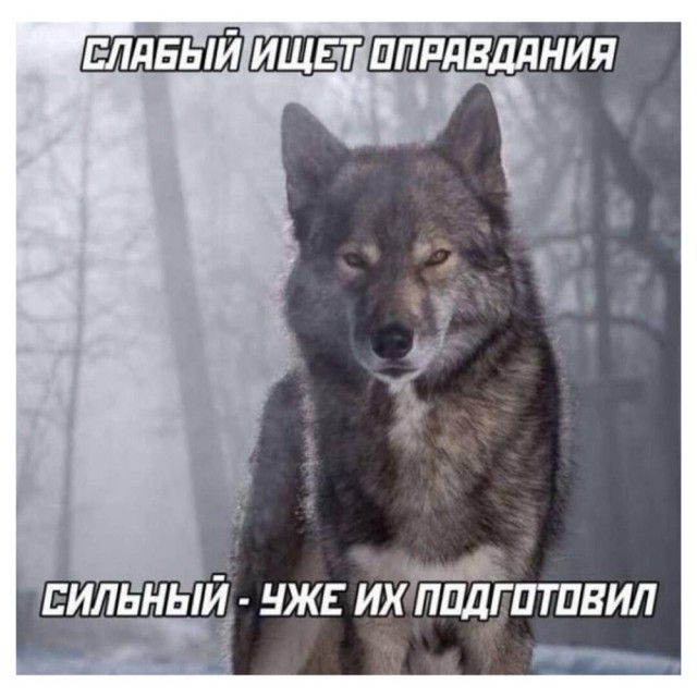 Четверговые картинки