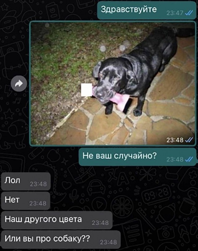 *зачёркнуто*