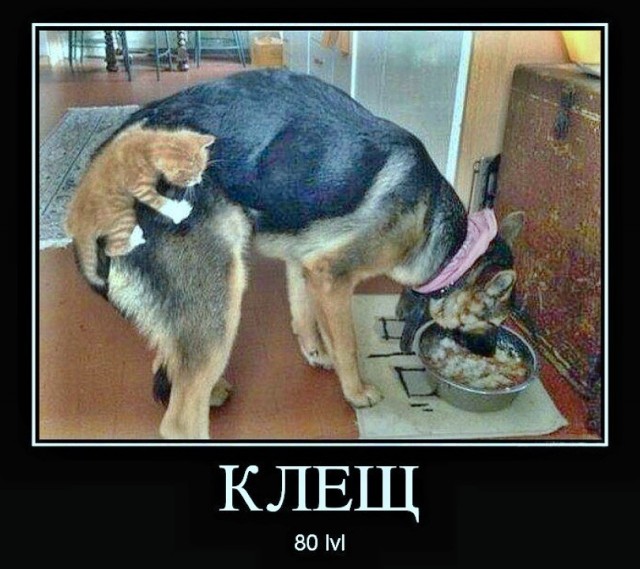 Вторника картинки