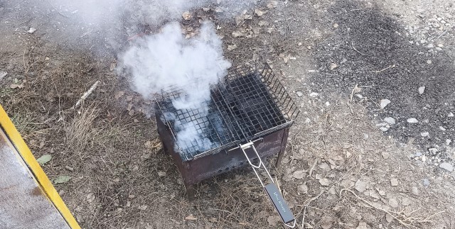 Запретить одноразовые мангалы для шашлыков предложили в Госдуме