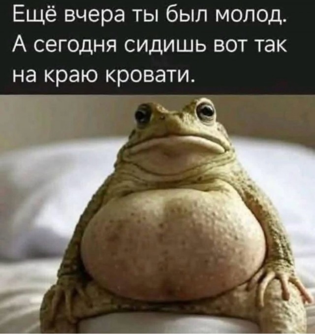 Дегрономикон 15