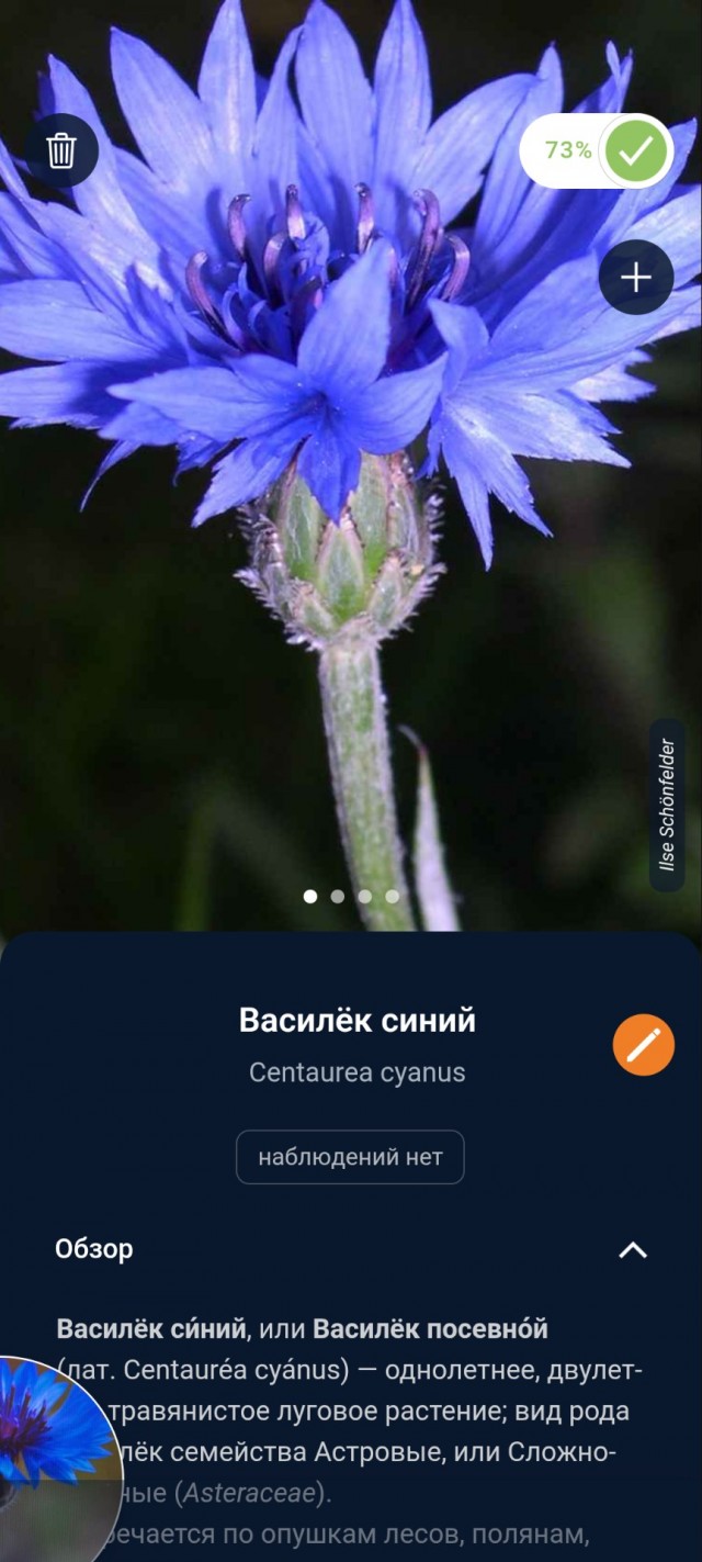 Где такие найти?