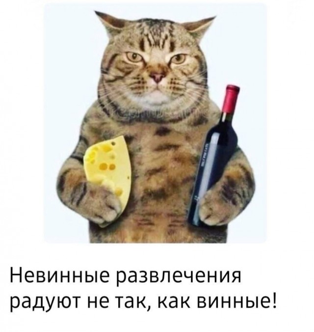 Картиночки, баянчики 15 июня