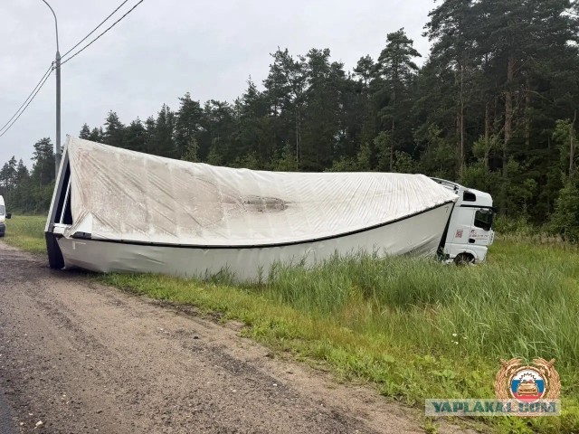 Семья ехала на отдых: На трассе М-10 в Тверской области мама, папа и двое детей погибли в ДТП с КАМАЗом