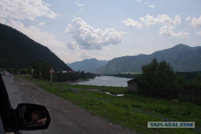 На недельку на Алтай.