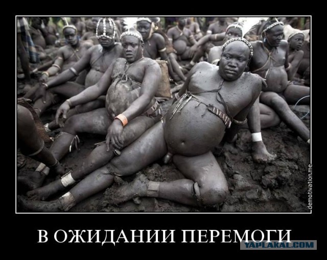 Может ли Украина вернуть Крым