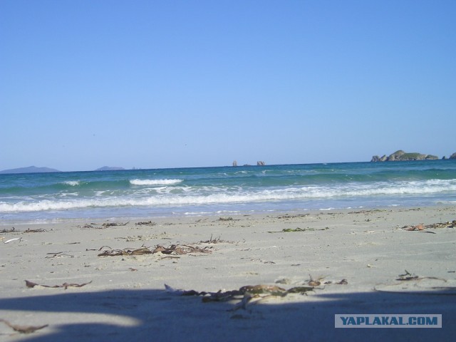 Бухта Теляковского