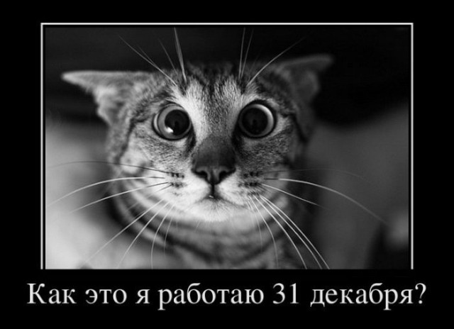 Вы хотите "демов"? часть 2-я