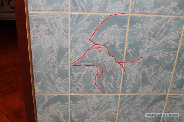 А что вы расматриваете в туалете?