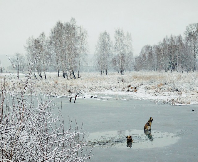 История одного спасения