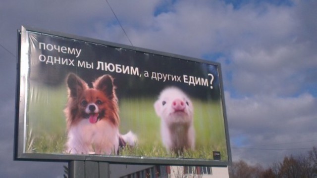 Картинки и гифки
