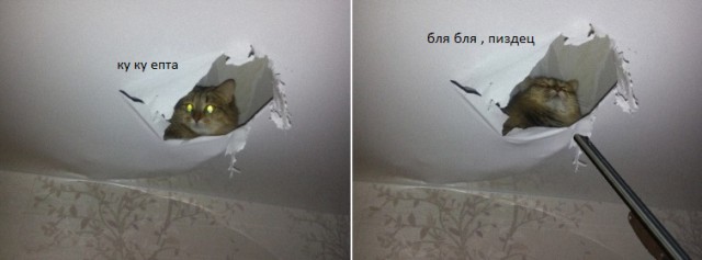 Виски с Колой