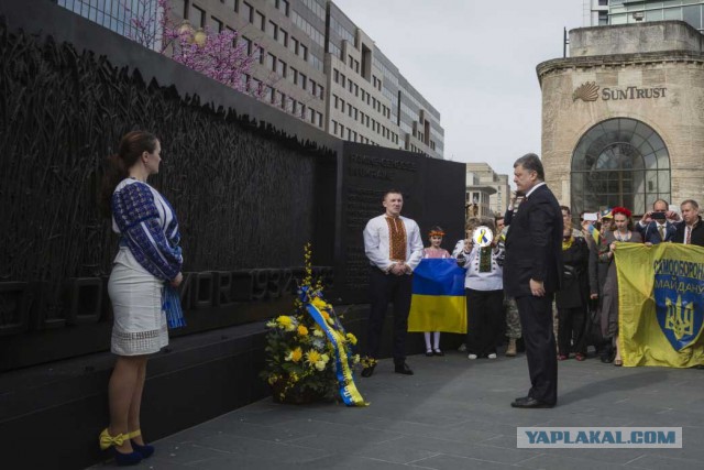 Журналисты высмеяли безвкусные желто-голубые туфли украинки, встречавшей Порошенко в США