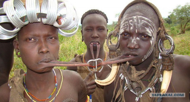 Россия и Зимбабве объединятся в борьбе с санкциями Запада