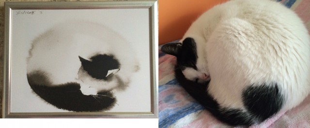 Котовторник 05.07.16