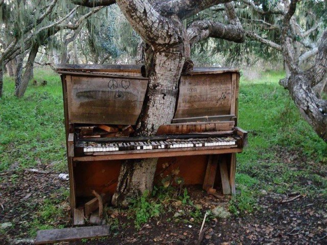 Моменты, запечатлённые на фото и просто позитив 5