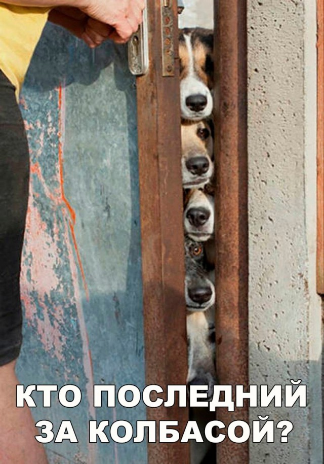 Подборка безудержного веселья