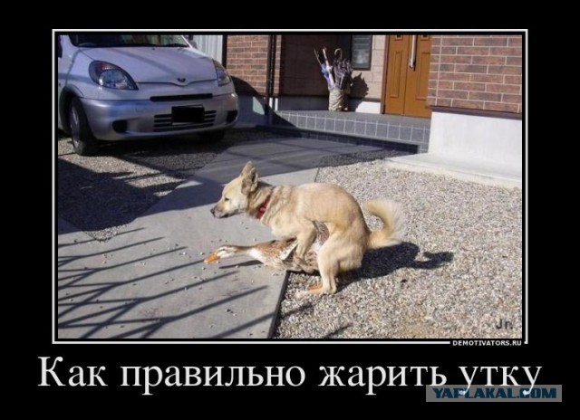 Как не надо жарить курицу