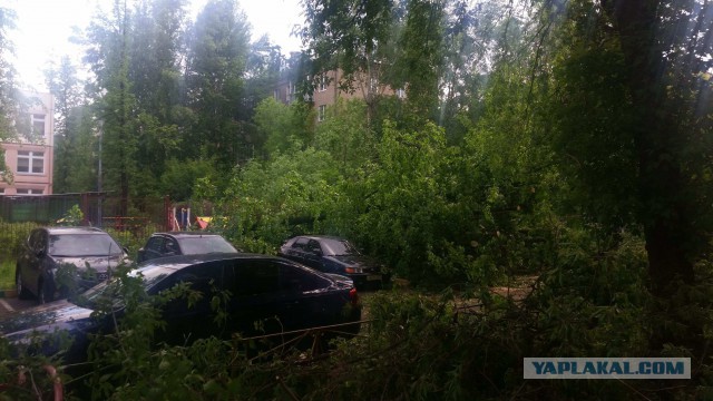 В Москве ураган!
