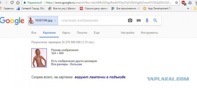 Про сиськи. Почему мужчин привлекает женская грудь?
