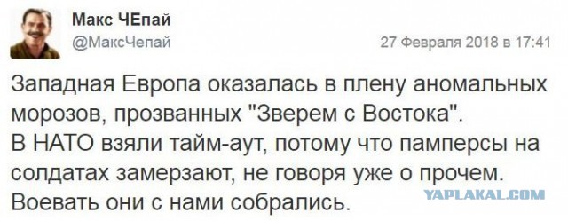 «Зверь с Востока»: англичане остро отреагировали на «мороз из России»