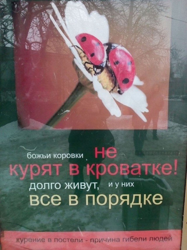Картинки для настроения