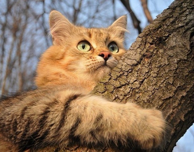 Немного милоты
