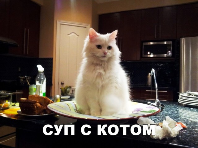 Нестандартный юмор