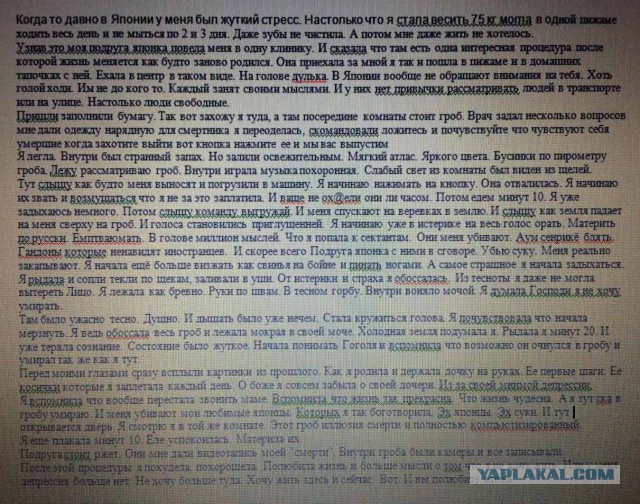 Фотографии, которые доказывают, что японцы живут на другой планете 2