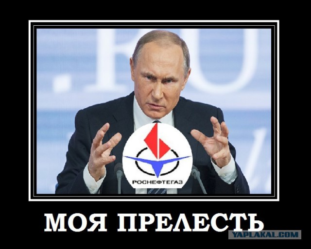 "Несанкционированный митинг" на пресс-конференции Путина