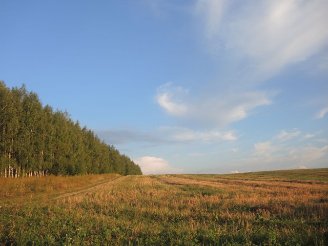Красота сельских дорог