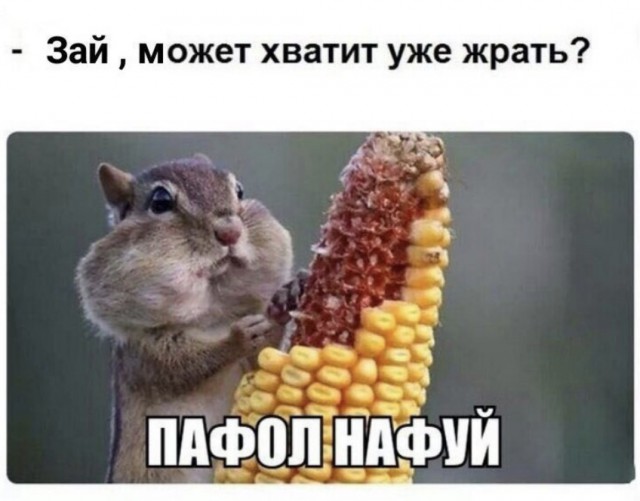 Картинки разные нужны, картинки всякие важны