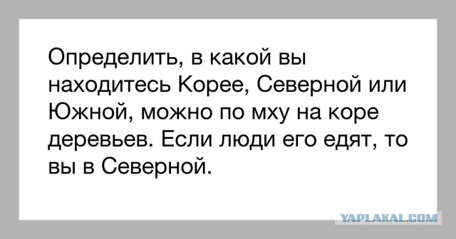 Я побывал в обеих Кореях, чтобы показать, как на самом деле там живут люди
