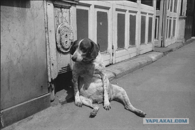 Интересные и редкие ретро-фотографии