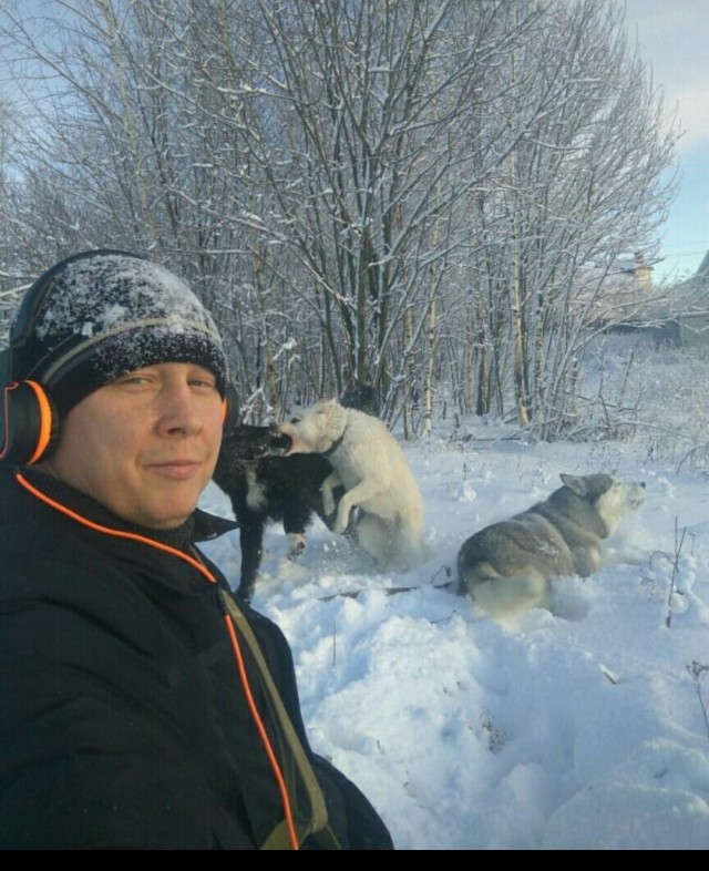 У всех такие Хаски?