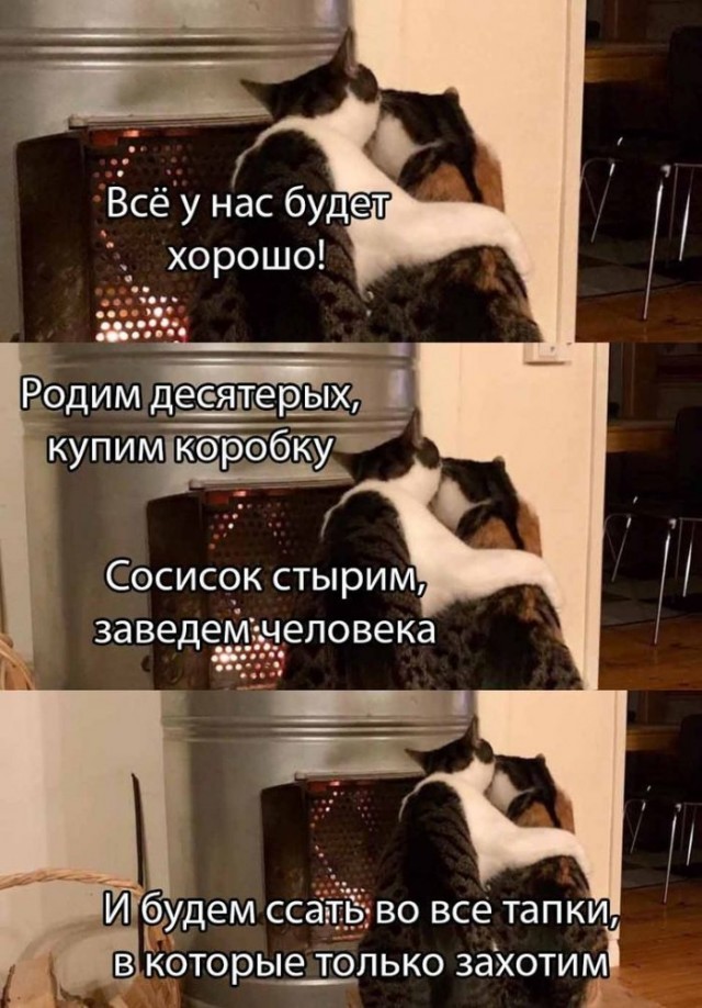 Немного картинок для настроения 18.05.20