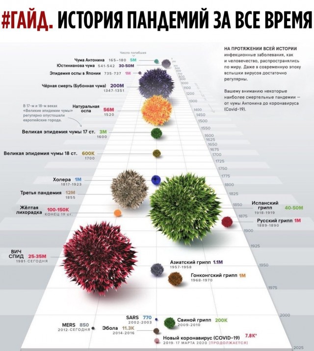 Бредзона 24.05.20