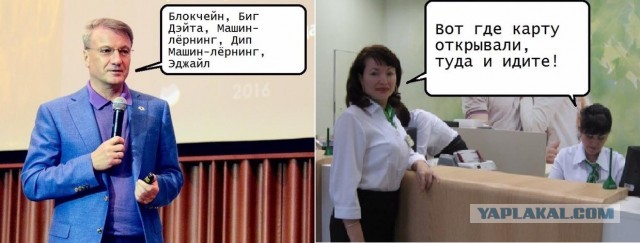 И что-то так обидно мне стало