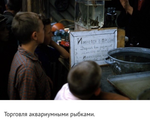 Жизнь простых советских людей в конце 1950-х на фотографиях Томаса Хаммонда