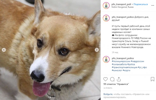 Кощунство и надругательство. Это уже перешло все границы!