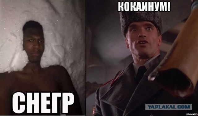 Аморальная деградация