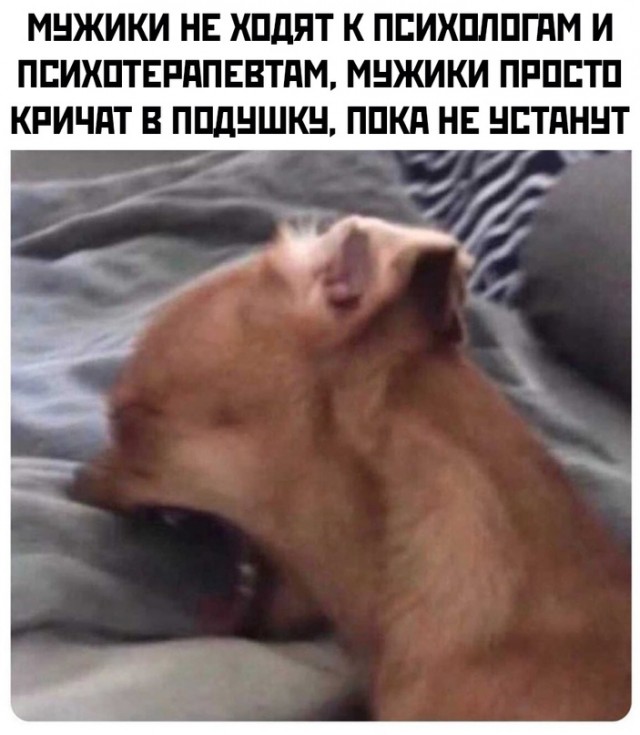 Весёлый полтишок 2.05