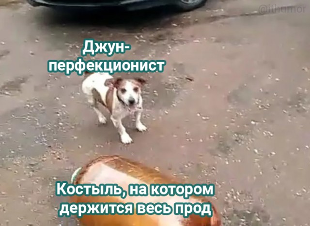Картинки и мемы для настроения 09.09.2021