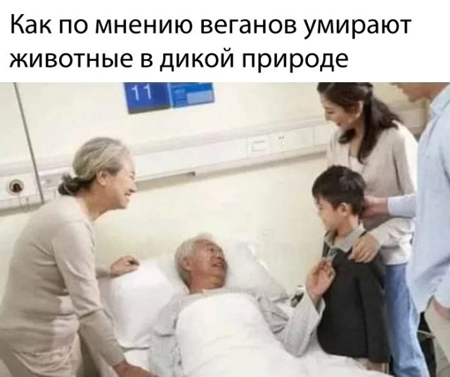 Весёлый полтишок 11.09