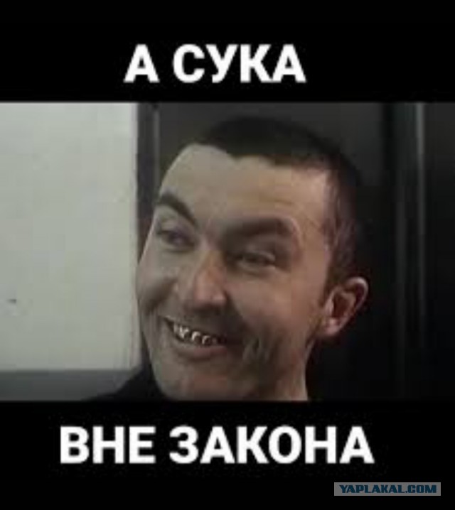 Под Волгоградом фермер судится с военными из-за того, что они ездят на танках по его полям